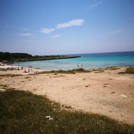Onde E Gabbiani